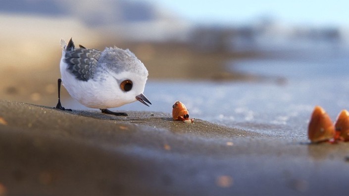 Piper